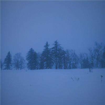 B体育登录APP下载手机app下载