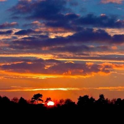 B体育登录APP下载手机app下载截图